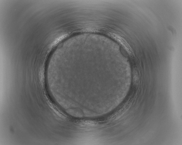 X0000115370677200912151419