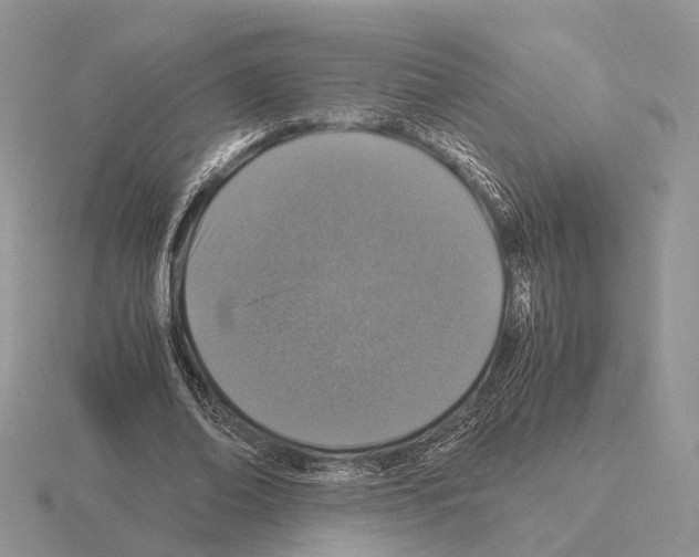 X0000115370678200912151419