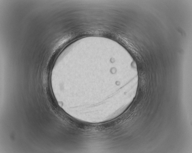 X0000115370679200912151419