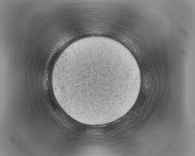 X0000115370680200912151419