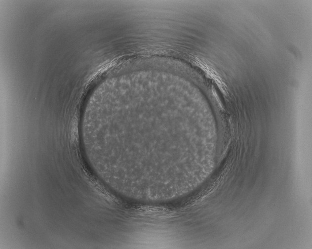 X0000115370681200912151419