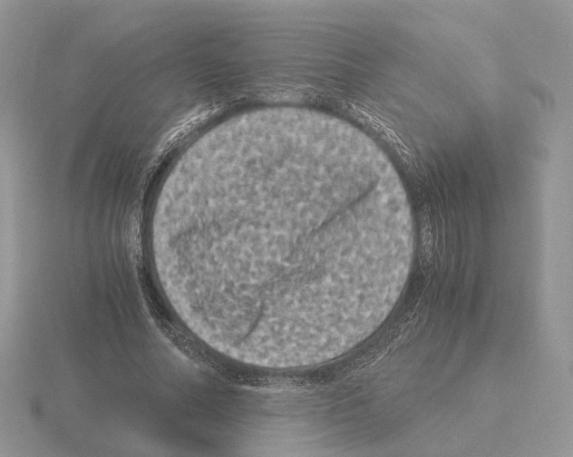 X0000115370682200912151419