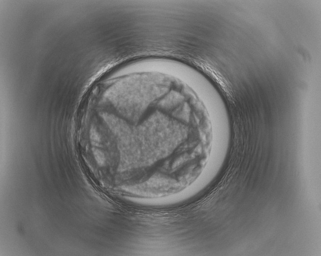 X0000115370684200912151419