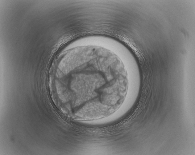 X0000115370685200912151419