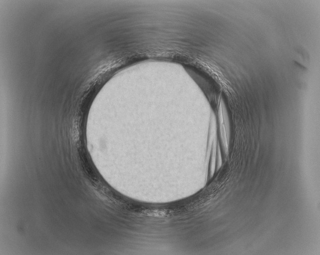 X0000115370687200912151419