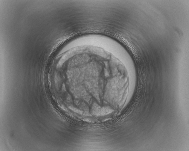 X0000115370688200912151419