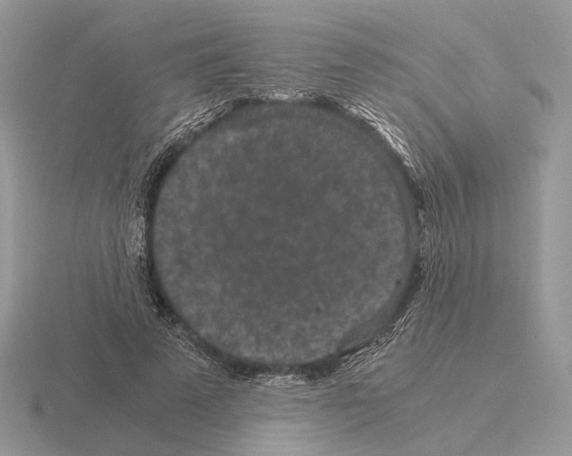 X0000115370689200912151419