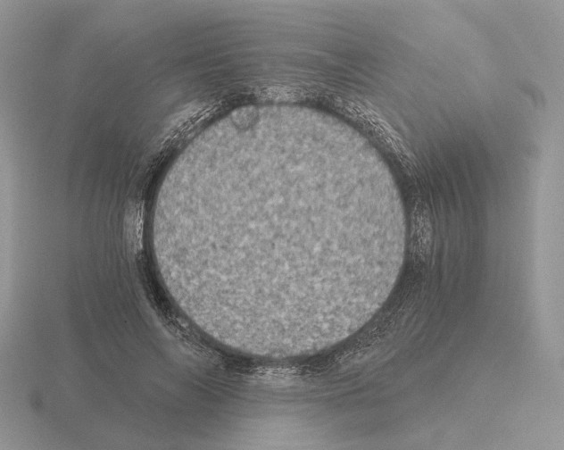 X0000115370694200912151419