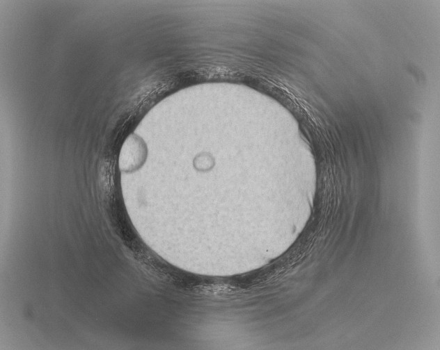 X0000115370695200912151419