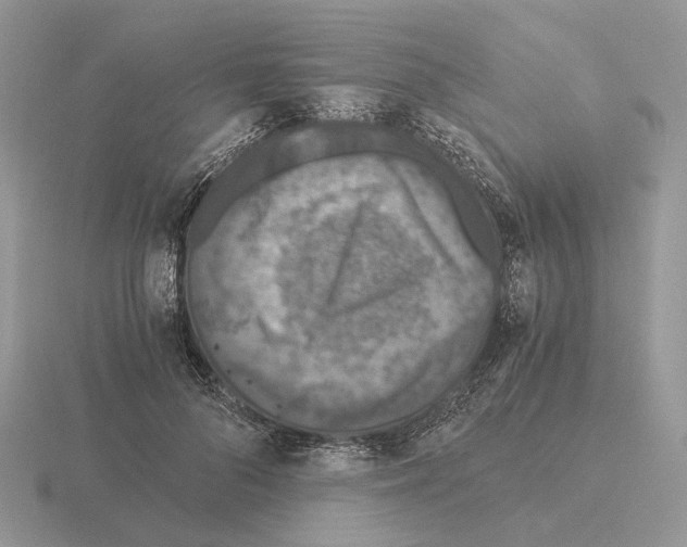 X0000115370696200912151419