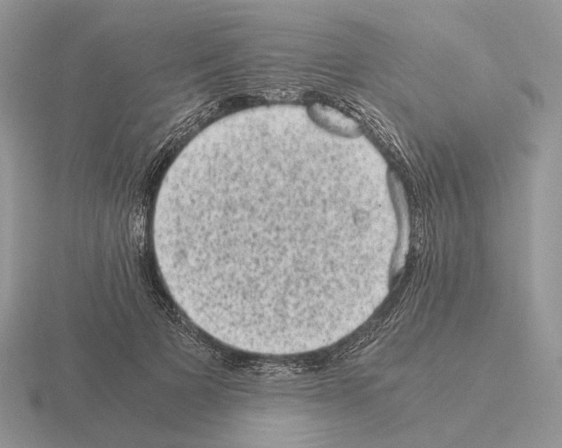 X0000115370697200912151419