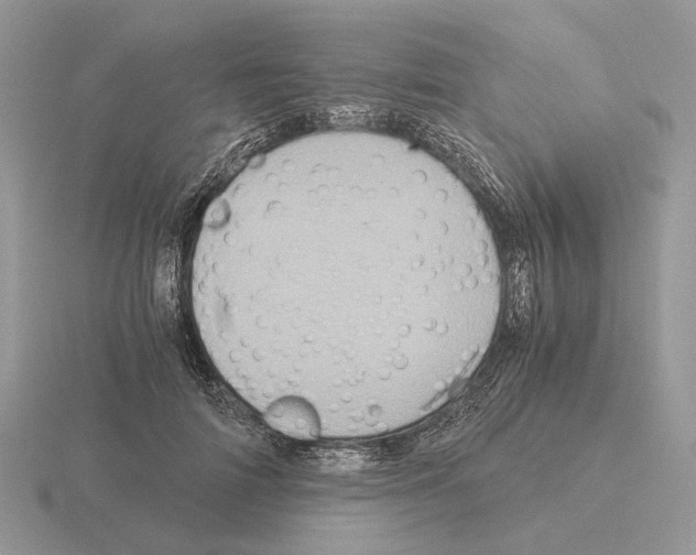 X0000115370698200912151419