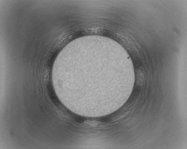 X0000115370699200912151419