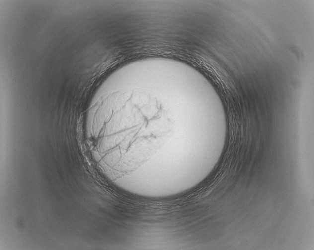 X0000115370700200912151419