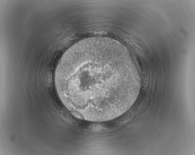 X0000115370704200912151419