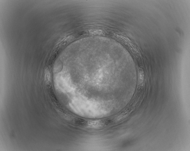 X0000115370705200912151419