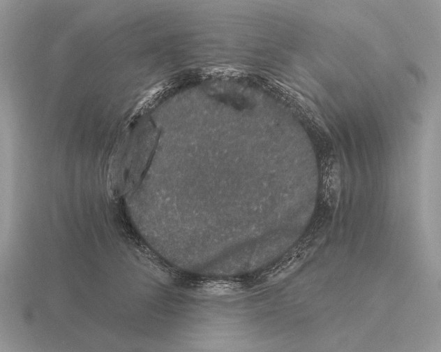 X0000115370708200912151419