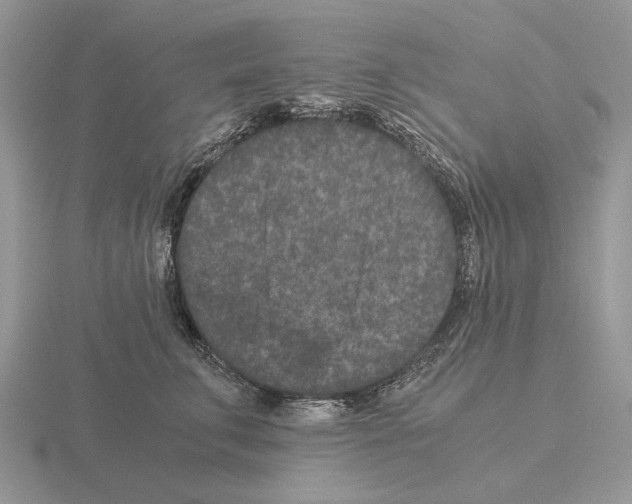 X0000115370711200912151419