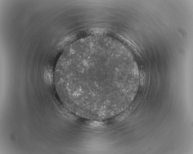 X0000115370718200912151419