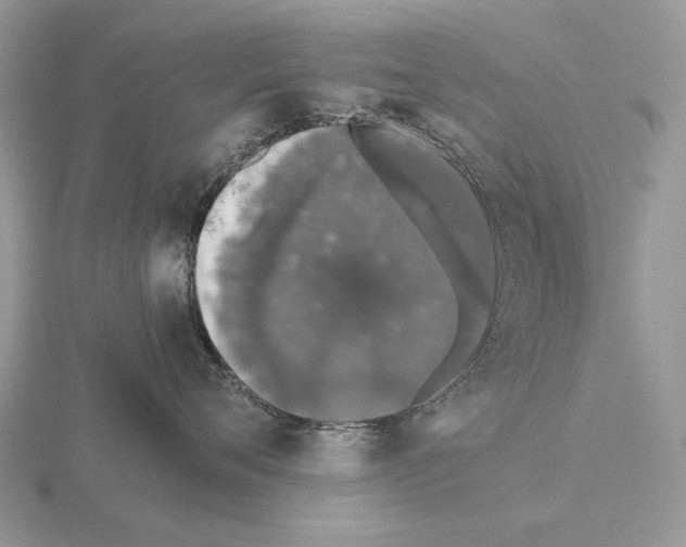 X0000115370720200912151419