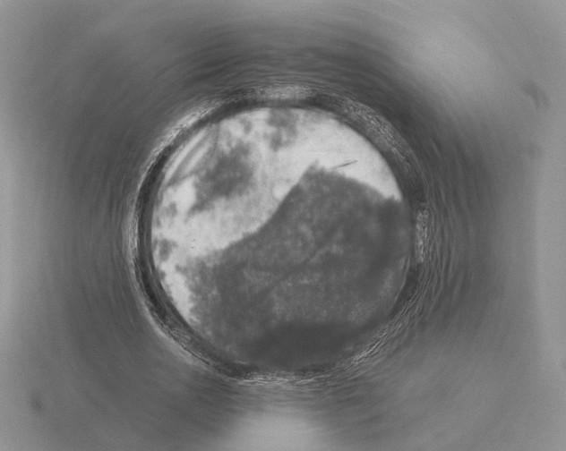 X0000115370726200912151418