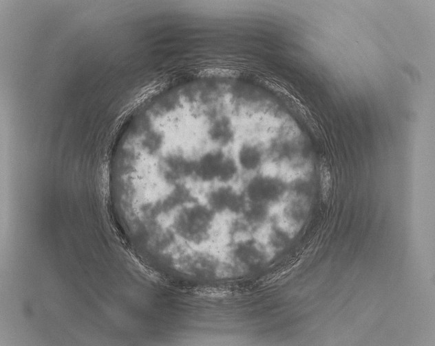 X0000115370729200912151418