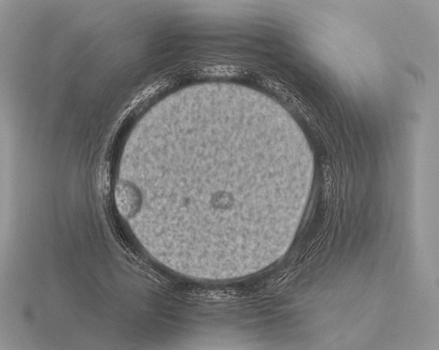 X0000115370731200912151418