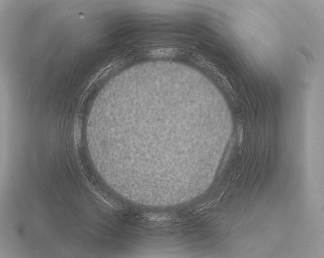 X0000115370733200912151418