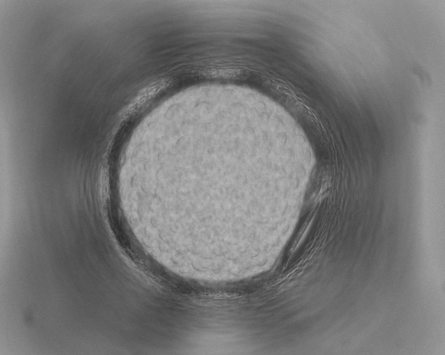 X0000115370734200912151418