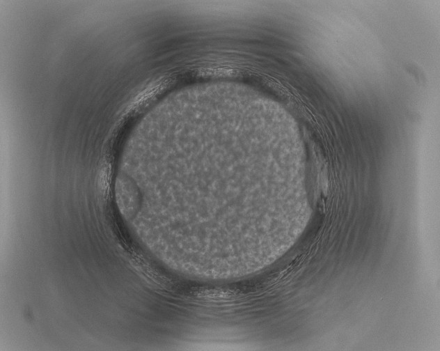 X0000115370735200912151418