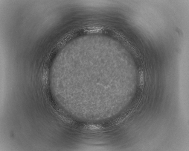 X0000115370737200912151418