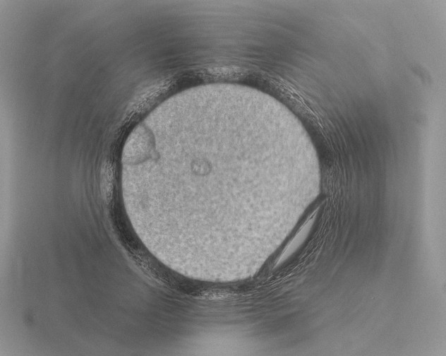 X0000115370742200912151418