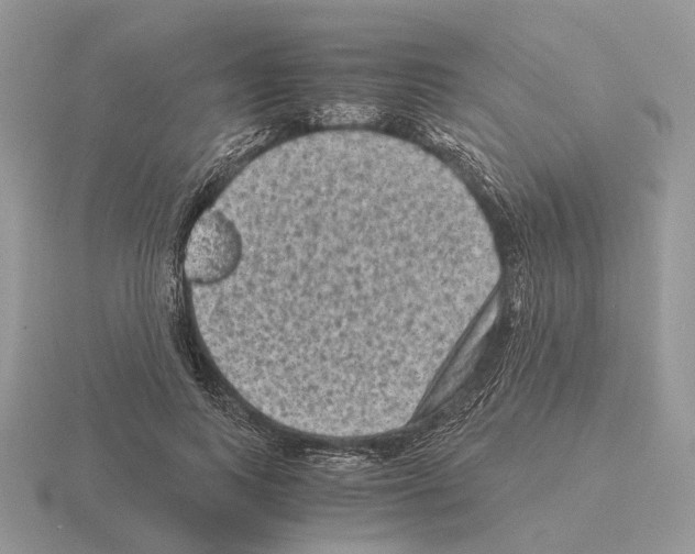 X0000115370743200912151418