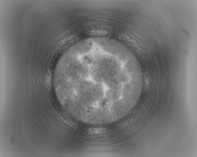 X0000115370745200912151418