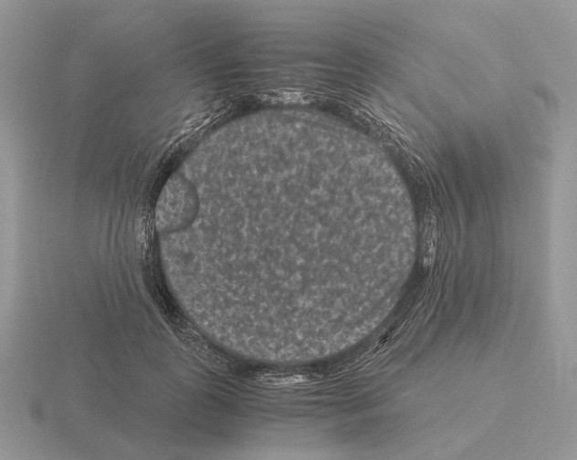 X0000115370747200912151418