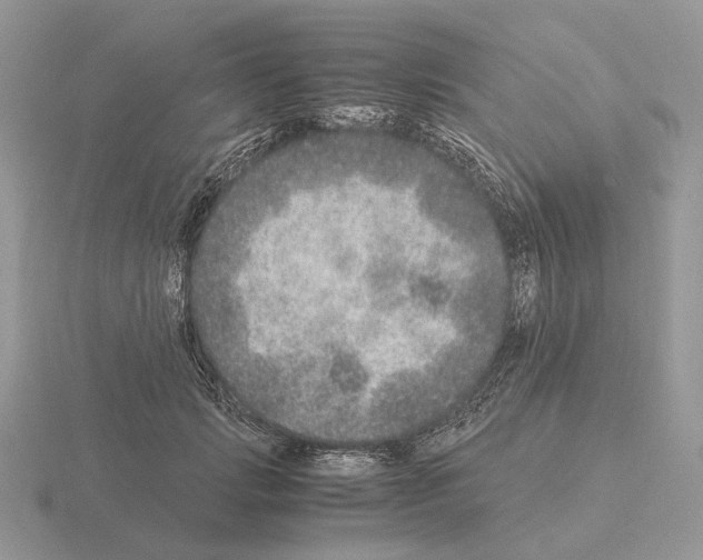 X0000115370749200912151419