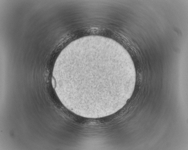 X0000115370750200912151419