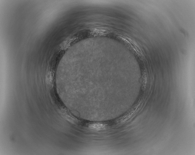 X0000115370759200912151419