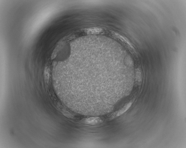 X0000115370761200912151419