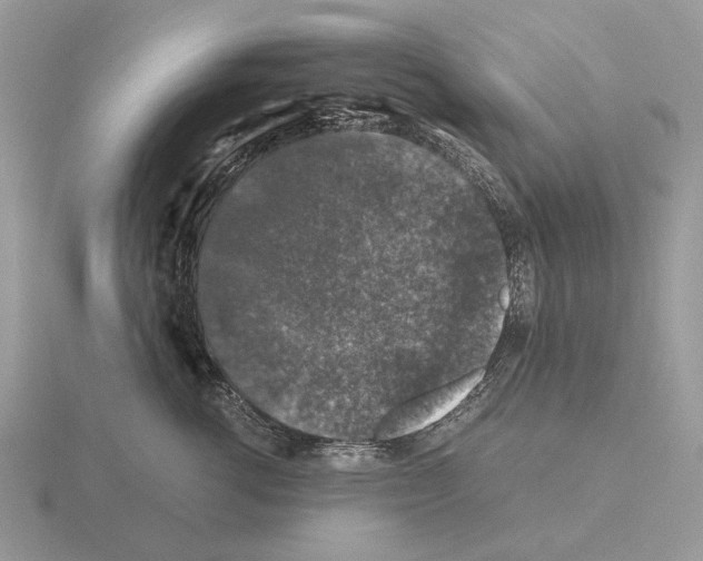 X0000115370762200912151419