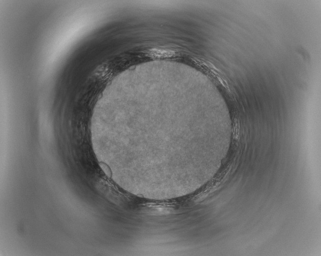 X0000115370763200912151419