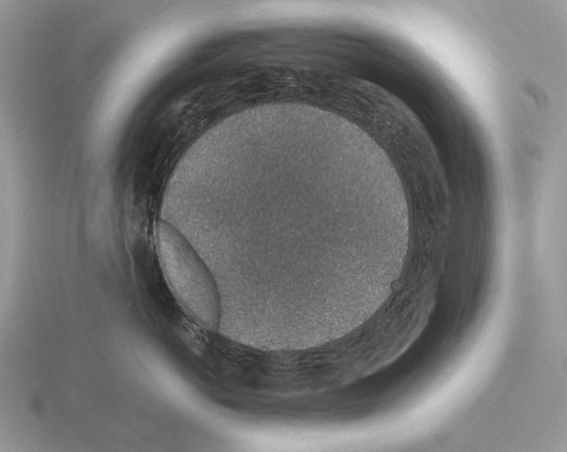 X0000115370766200912151419