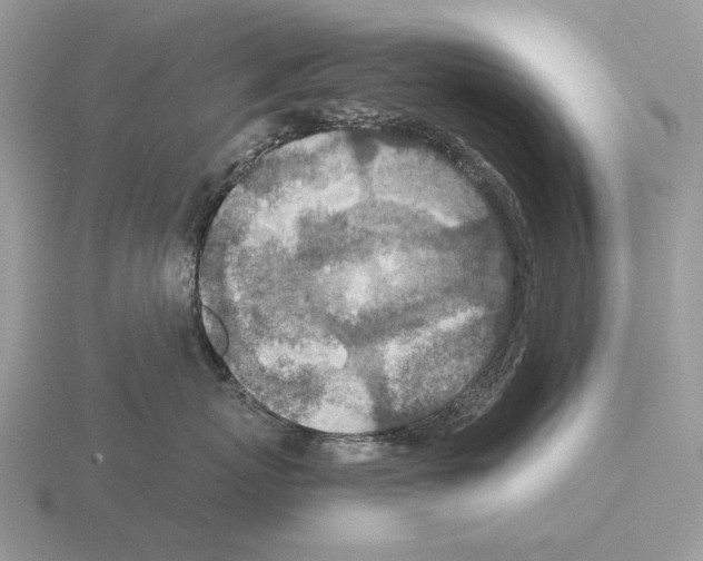 X0000115370767200912151419