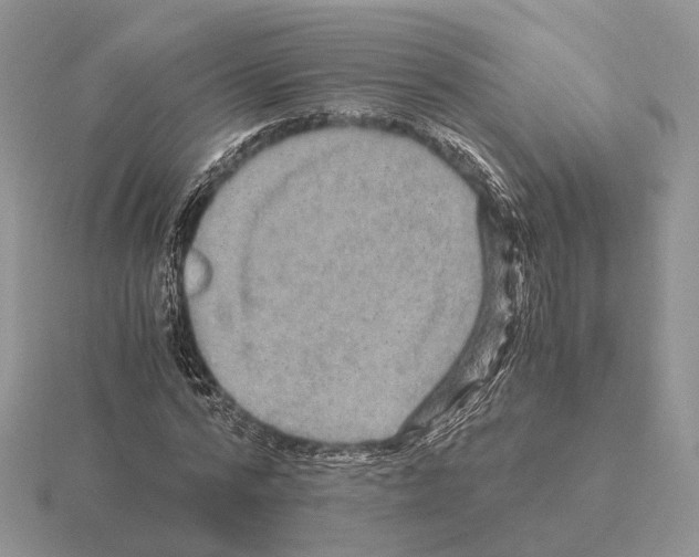 X0000115370776200912151418