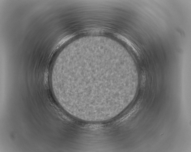 X0000115370778200912151418