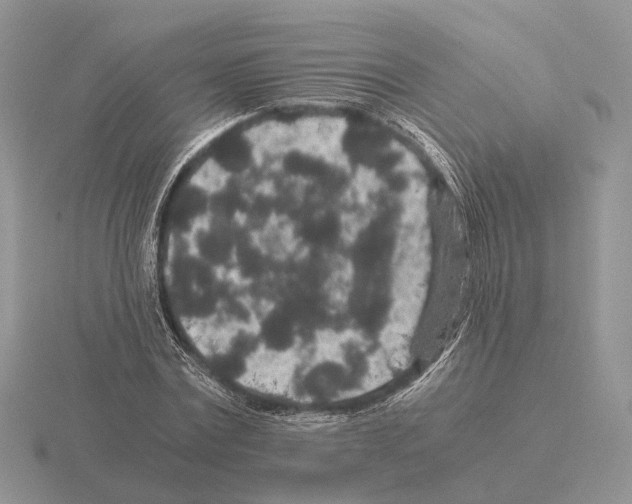 X0000115370779200912151418