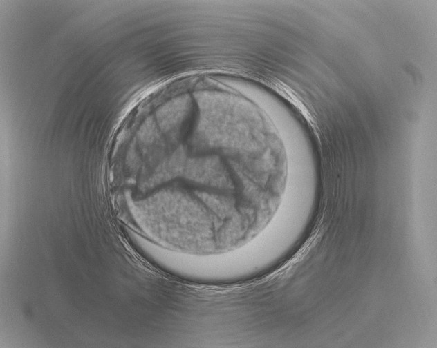 X0000115370781200912151418