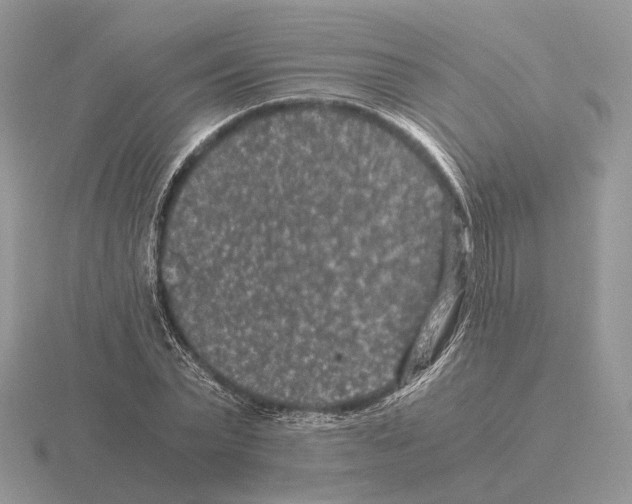 X0000115370783200912151418