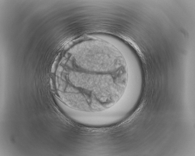 X0000115370785200912151418