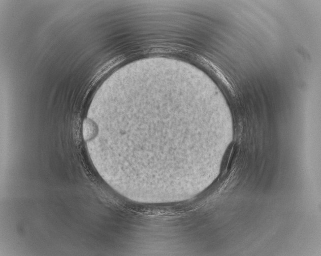 X0000115370786200912151418